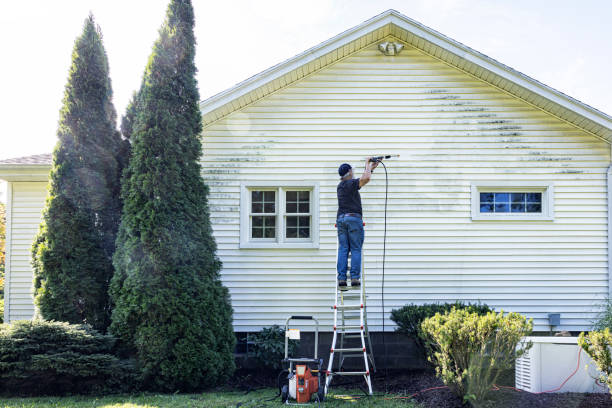 Best Residential House Exterior Washing  in Norwood, OH